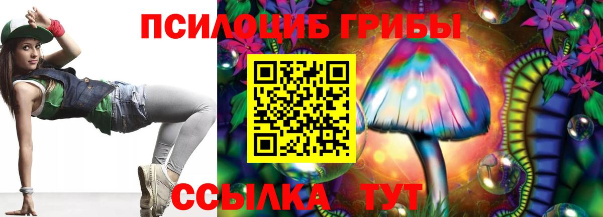 Ревда  Псилоцибиновые грибы MAGIC MUSHROOMS  Вход с VPN 